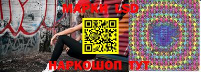 кокс Донской