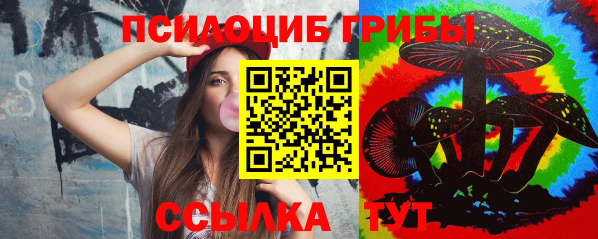 Галлюциногенные грибы прущие грибы  Галлюциногенные грибы Psilocybe  Вход с VPN  Магадан 